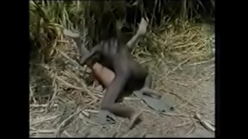 Pasticciano schiavi nella piantagione